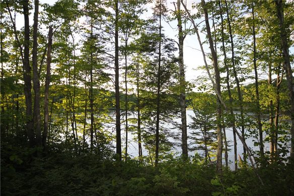 Lot 1 Timber Wolf Drive, Springbrook, WI
