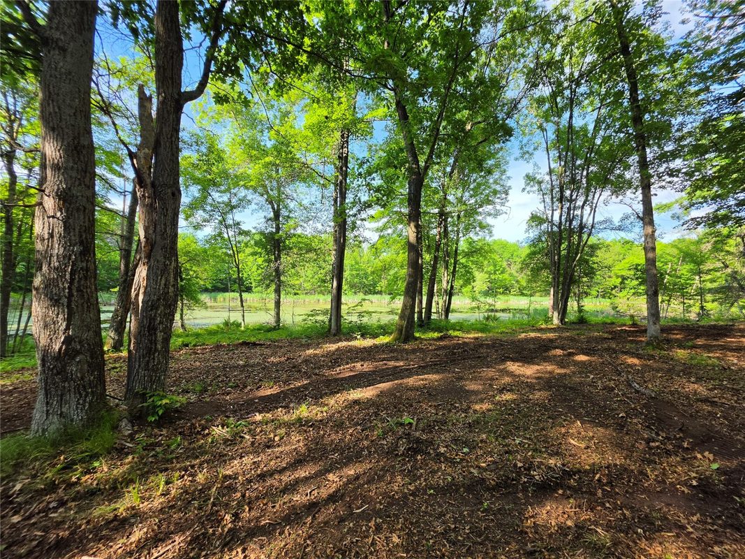 27646 295th (Lot 14) Avenue, Holcombe WI 54745 - Land house for sale - MLS #1602155 - image10