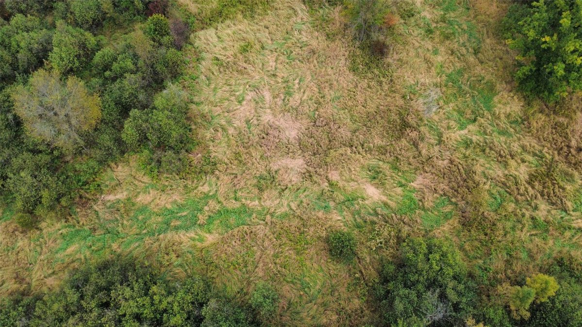 000 Miller Avenue, Owen WI 54460 - Land house for sale - MLS #1605509 - image24