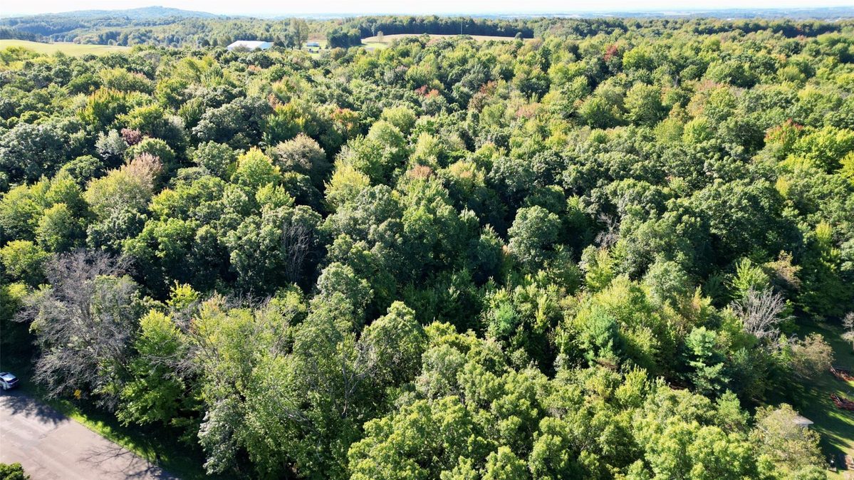 N6497 906th Street, Elk Mound WI 54739 - Land house for sale - MLS #1605558 - image6