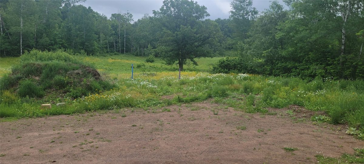11116 Blackberry Road, Trego WI 54888 - Land house for sale - MLS #1601881 - image18