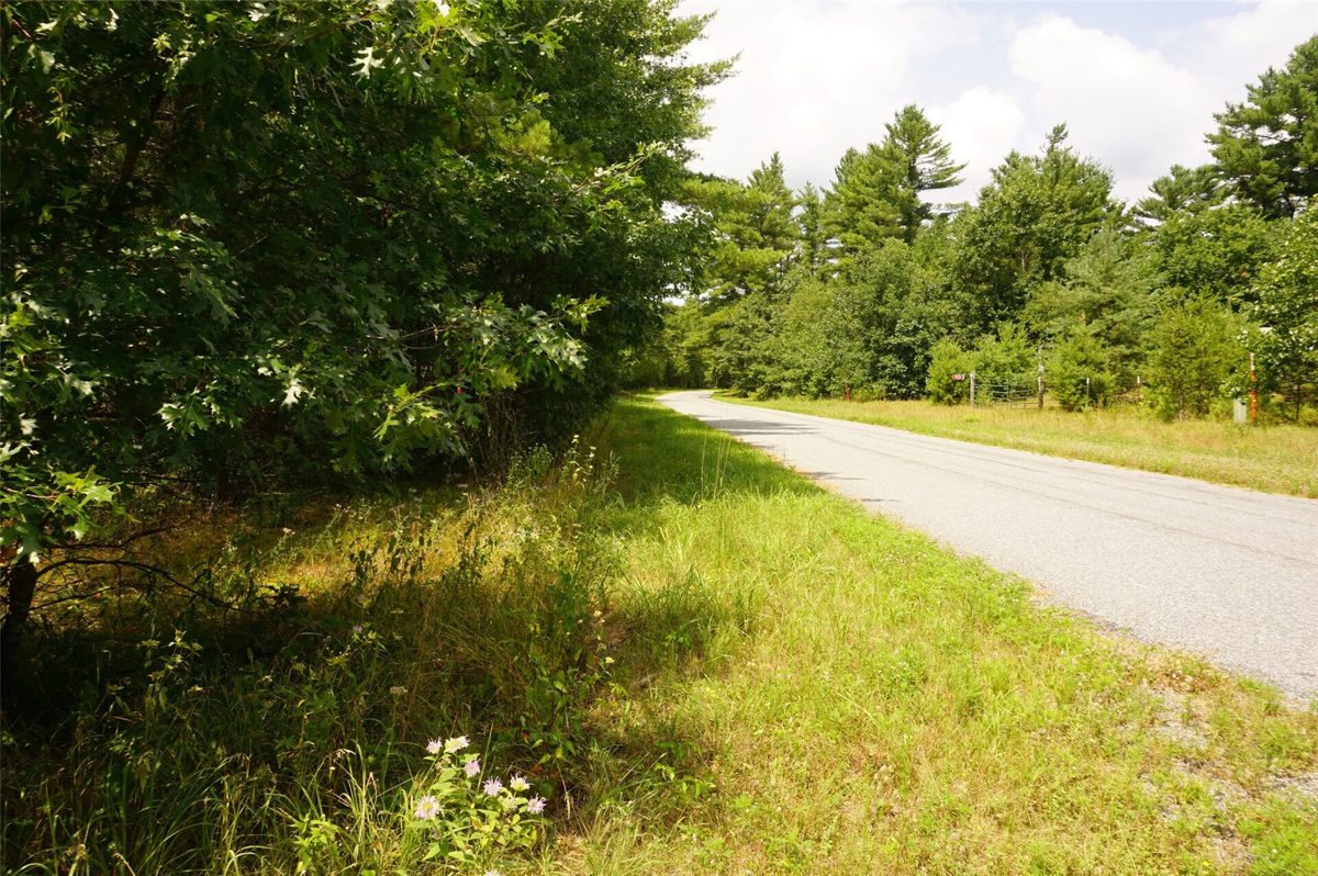 N9105 Flood Road, Black River Falls WI 54615 - Land house for sale - MLS #1603584 - image14