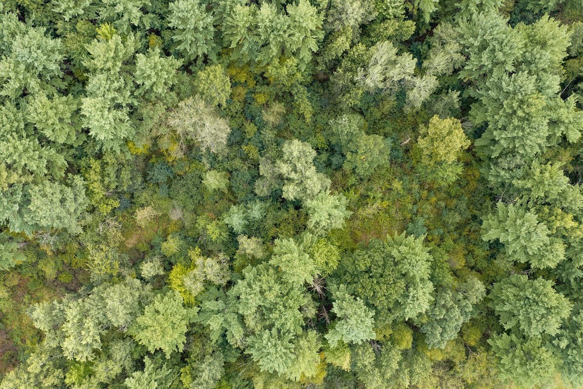 Lot 2 County Hwy X, Cadott WI 54727 - Land house for sale - MLS #1605345 - image17