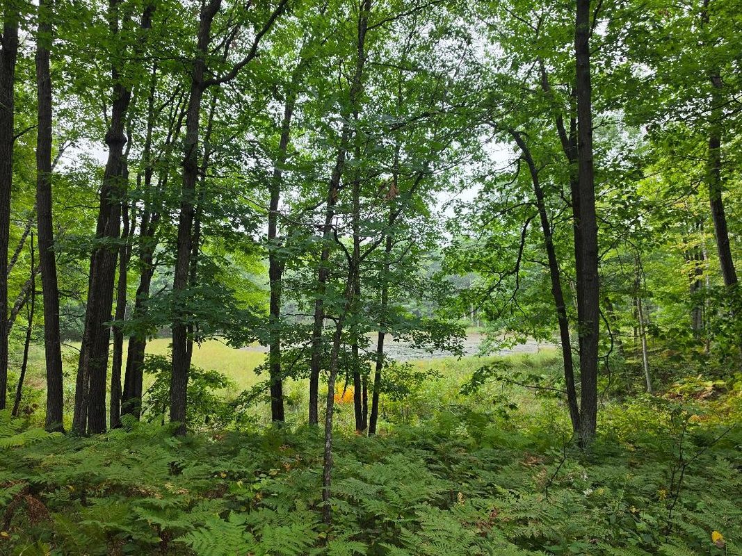 00 10 1/2-28 1/2, Barronett WI 54813 - Land house for sale - MLS #1604830 - image24
