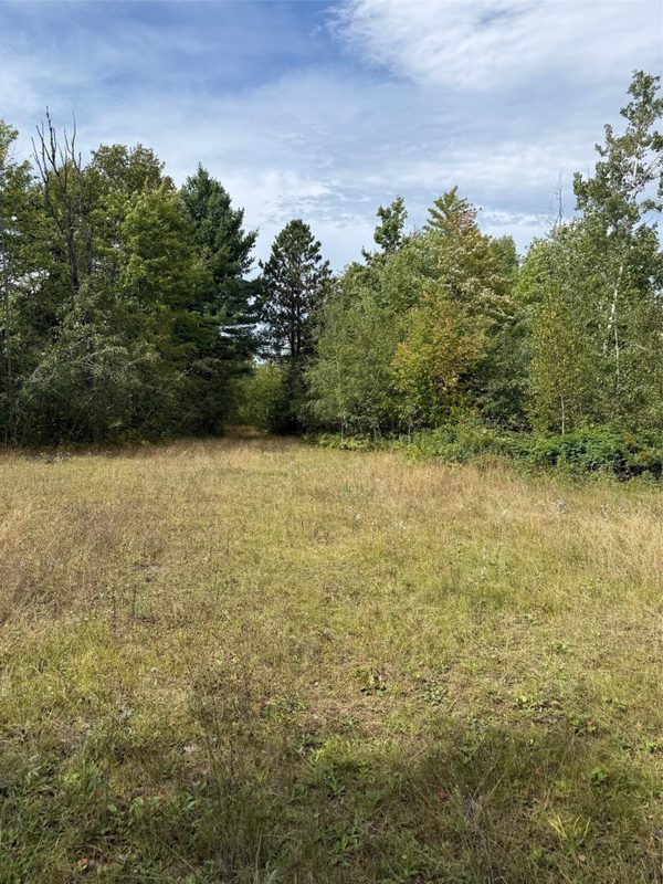 0 Edgewood Drive, Springbrook WI 54875 - Land house for sale - MLS #1605076 - image2