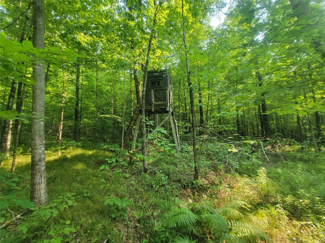 W4427 Spring Road, Prentice WI 54556 - Residential house for sale - MLS #1604416 - image5