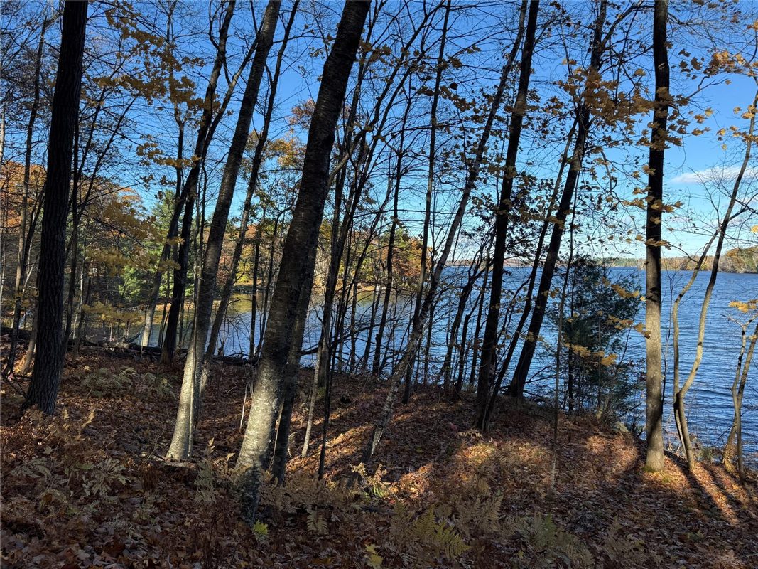 XXX County Hwy MD, Sarona WI 54870 - Land house for sale - MLS #1605948 - image11