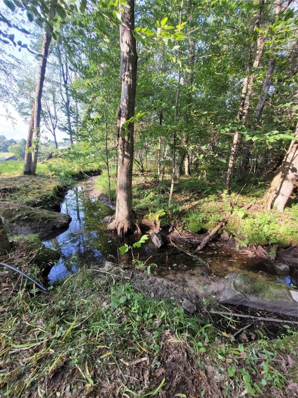 N900 Resewood Avenue, Neillsville WI 54456 - Land house for sale - MLS #1597245 - image46