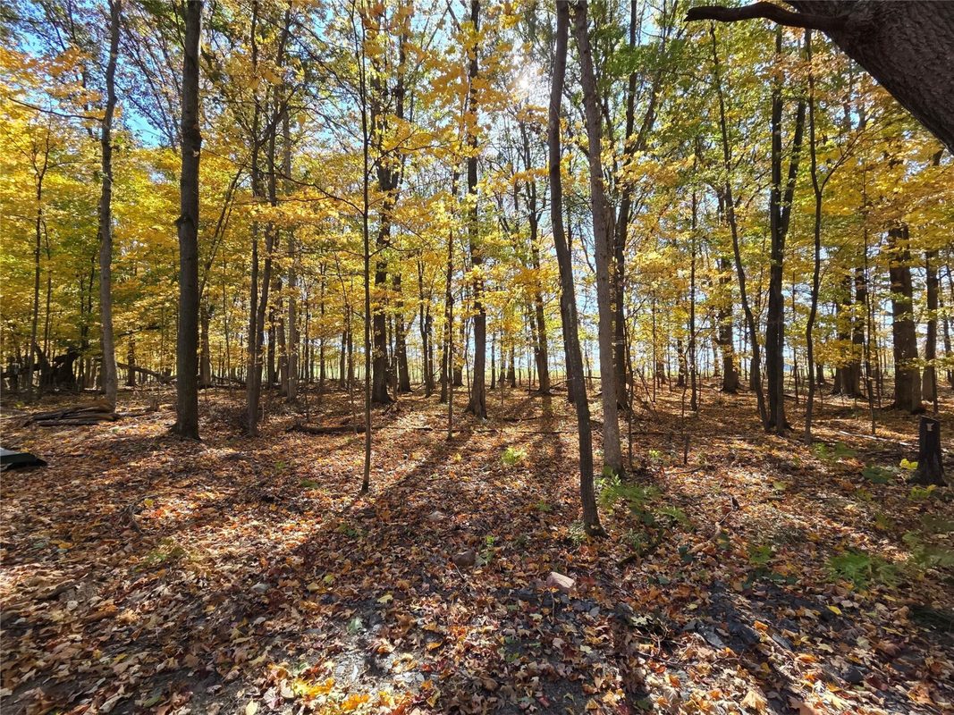2541 County Hwy D, Boyd WI 54726 - Land house for sale - MLS #1605930 - image13