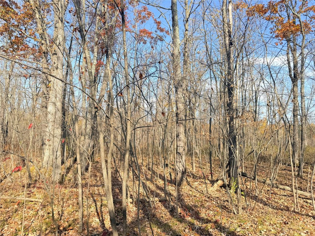 0 County Highway C, Rice Lake WI 54868 - Land house for sale - MLS #1605929 - image20
