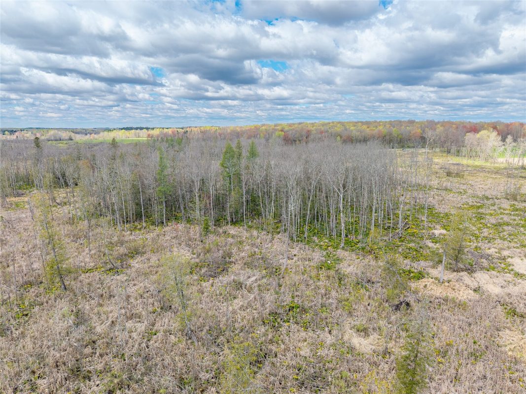 40 Acres Anderson Road & School Road, Glen Flora WI 54526 - Land house for sale - MLS #1601150 - image8