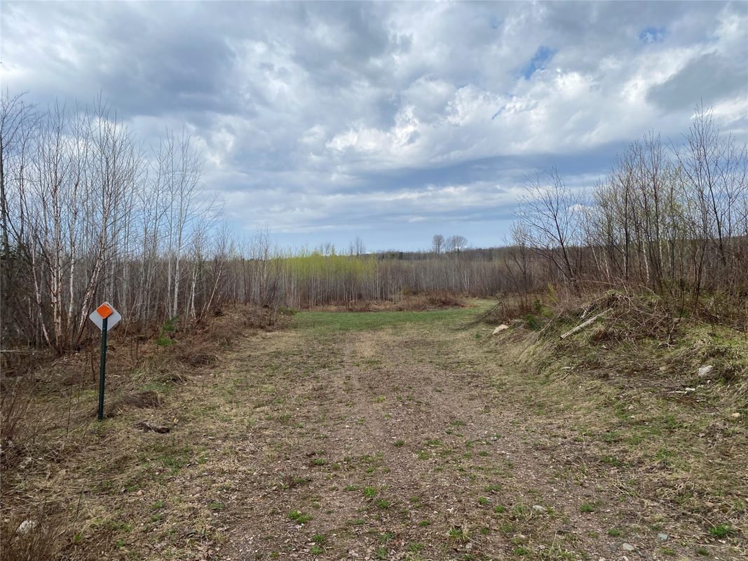 Near Wilson Lake Road Phillips WI 54555 — photo 2