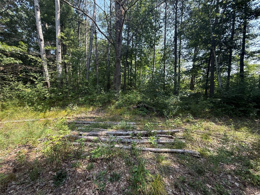 N3720 State Highway 40, Bruce WI 54819 - Land house for sale - MLS #1603658 - image3