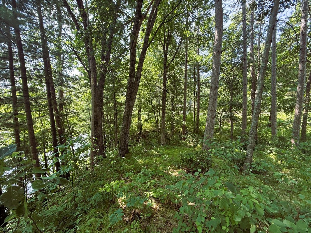 N3720 State Highway 40, Bruce WI 54819 - Land house for sale - MLS #1603658 - image6