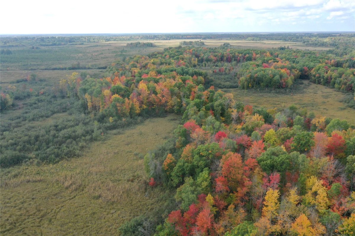 0 Klarquist Road, Webster WI 54840 - Land house for sale - MLS #1605651 - image3