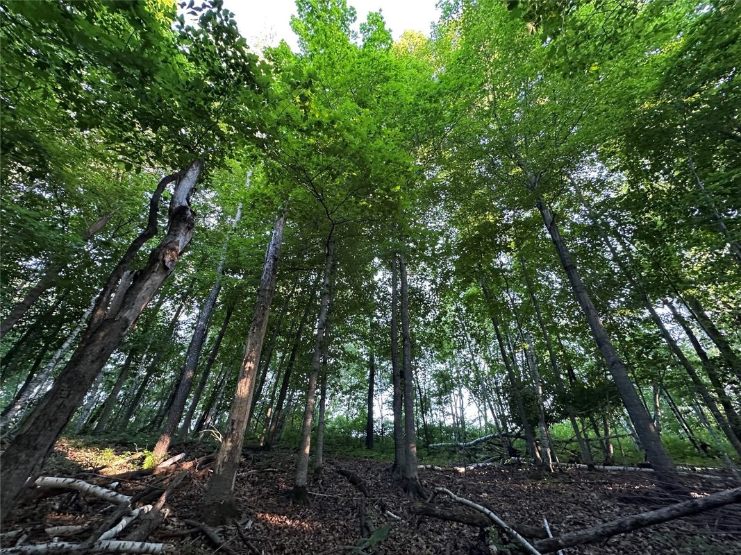 15.01 Acres 160th Avenue, Maiden Rock WI 54750 - Land house for sale - MLS #1604580 - image15