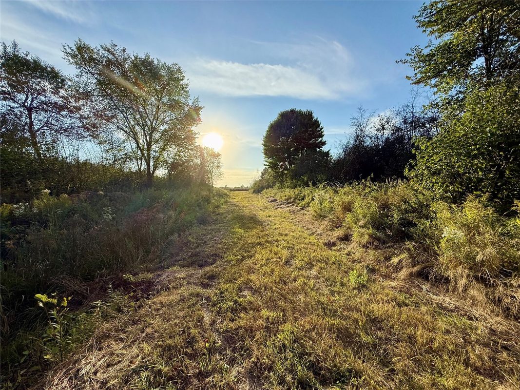 XX County Rd N, Kennan WI 54537 - Land house for sale - MLS #1605049 - image5