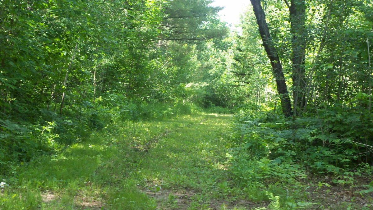 XXX Bashaw Store Road, Shell Lake WI 54871 - Land house for sale - MLS #1603494 - image9