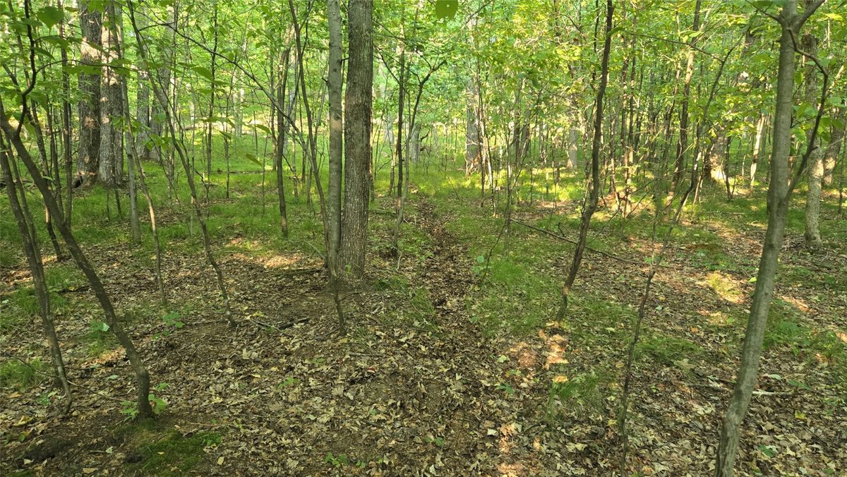 W02 State Highway 64, Colfax WI 54730 - Land house for sale - MLS #1604529 - image15