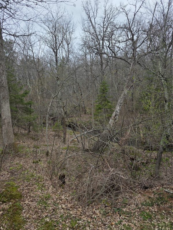 N8644 Lumbard Lane, Springbrook WI 54875 - Residential house for sale - MLS #1600874 - image30