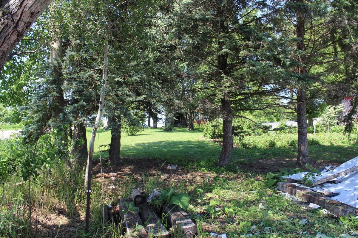 7847 290th Street, Boyd WI 54726 - Residential house for sale - MLS #1602217 - image2