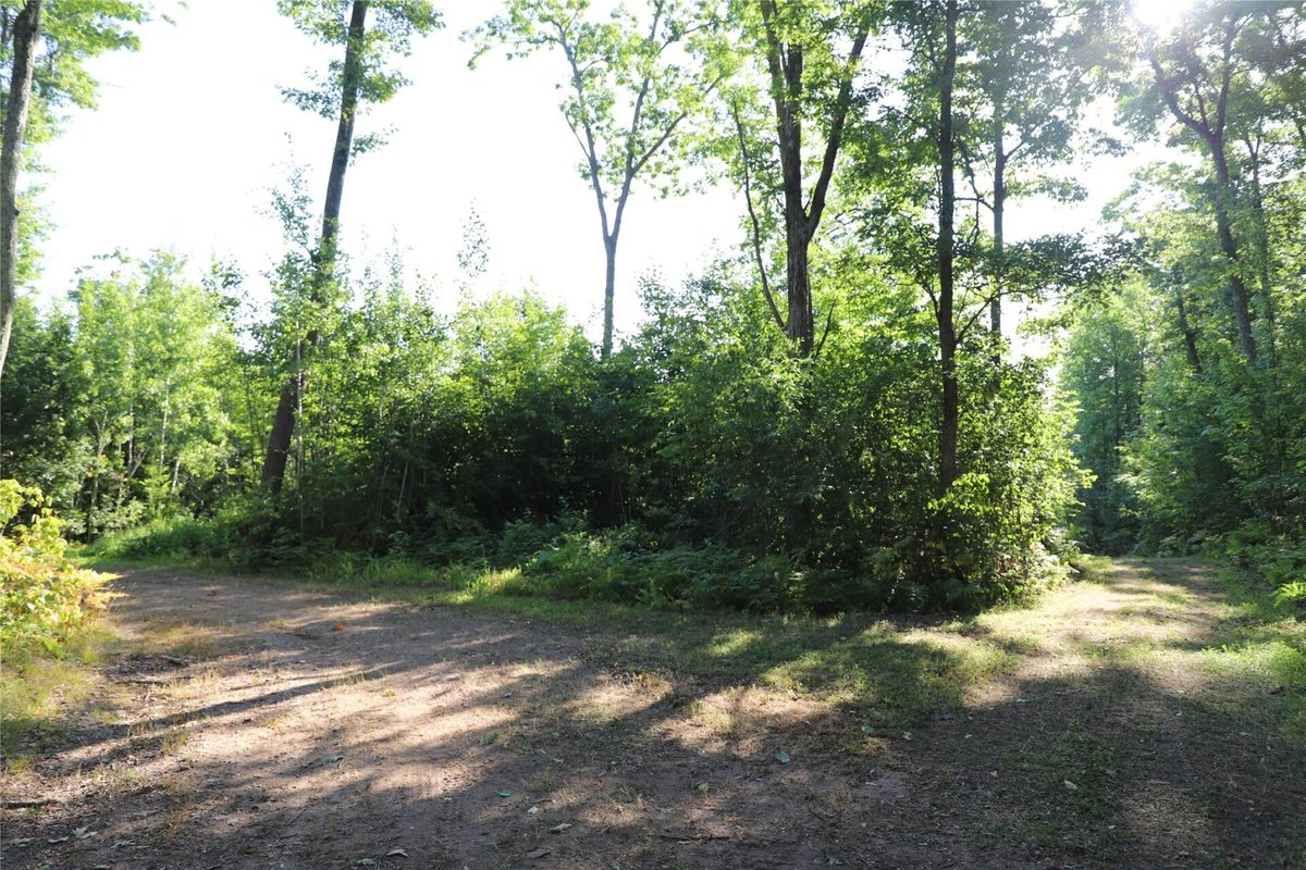 0000 Sand Lake Road, Stone Lake WI 54876 - Land house for sale - MLS #1604299 - image17