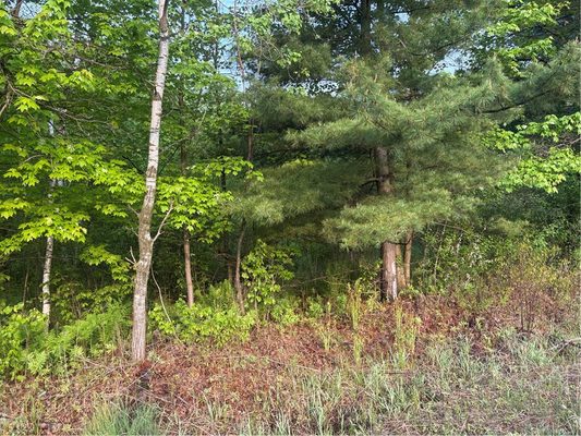 0 Highway 12  Merrillan WI 54754