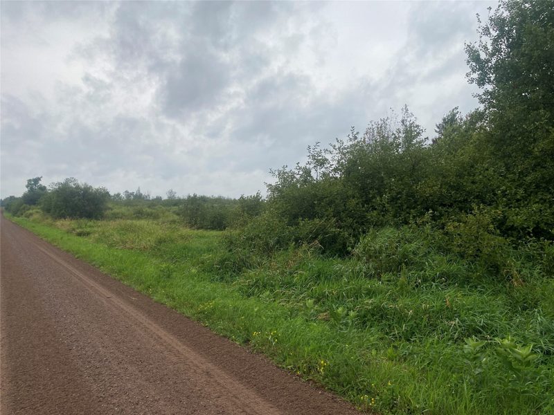 On Shauger Road