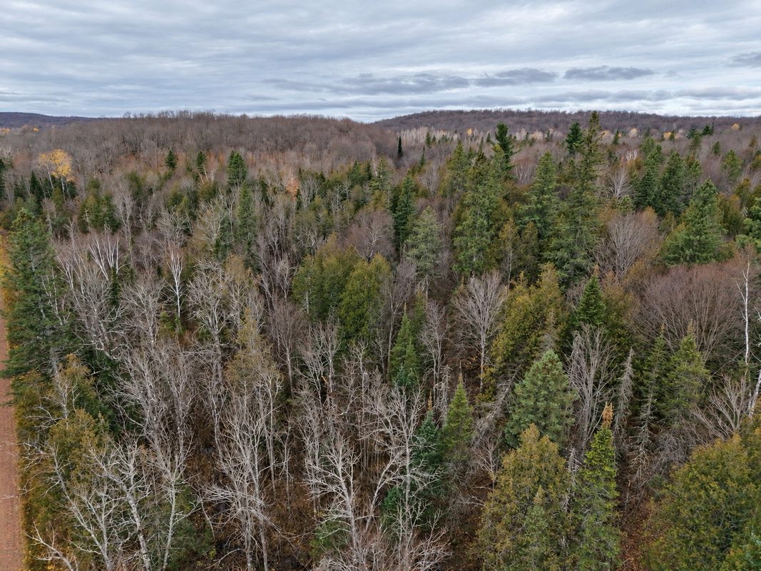 76886 Red House Road, Mellen WI 54546 - Land house for sale - MLS #1606363 - image15