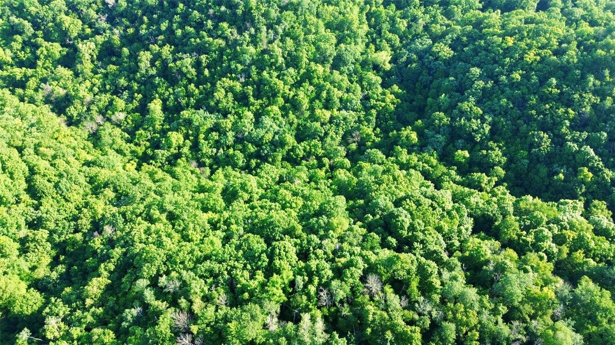 15.01 Acres 160th Avenue, Maiden Rock WI 54750 - Land house for sale - MLS #1604580 - image13