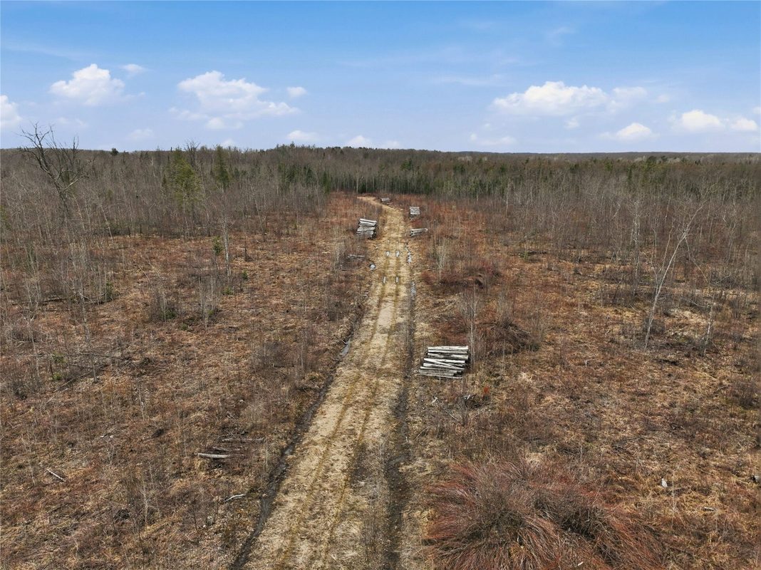 51.54 Acres Along County Road CC, Couderay, WI — photo 11