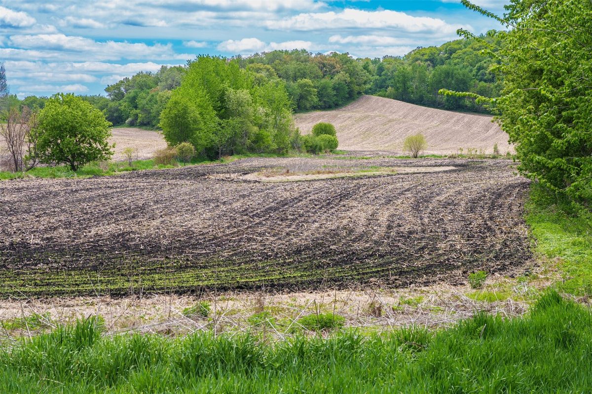 35 acres Old Town Road, Mondovi WI 54755 - Land house for sale - MLS #1601470 - image16