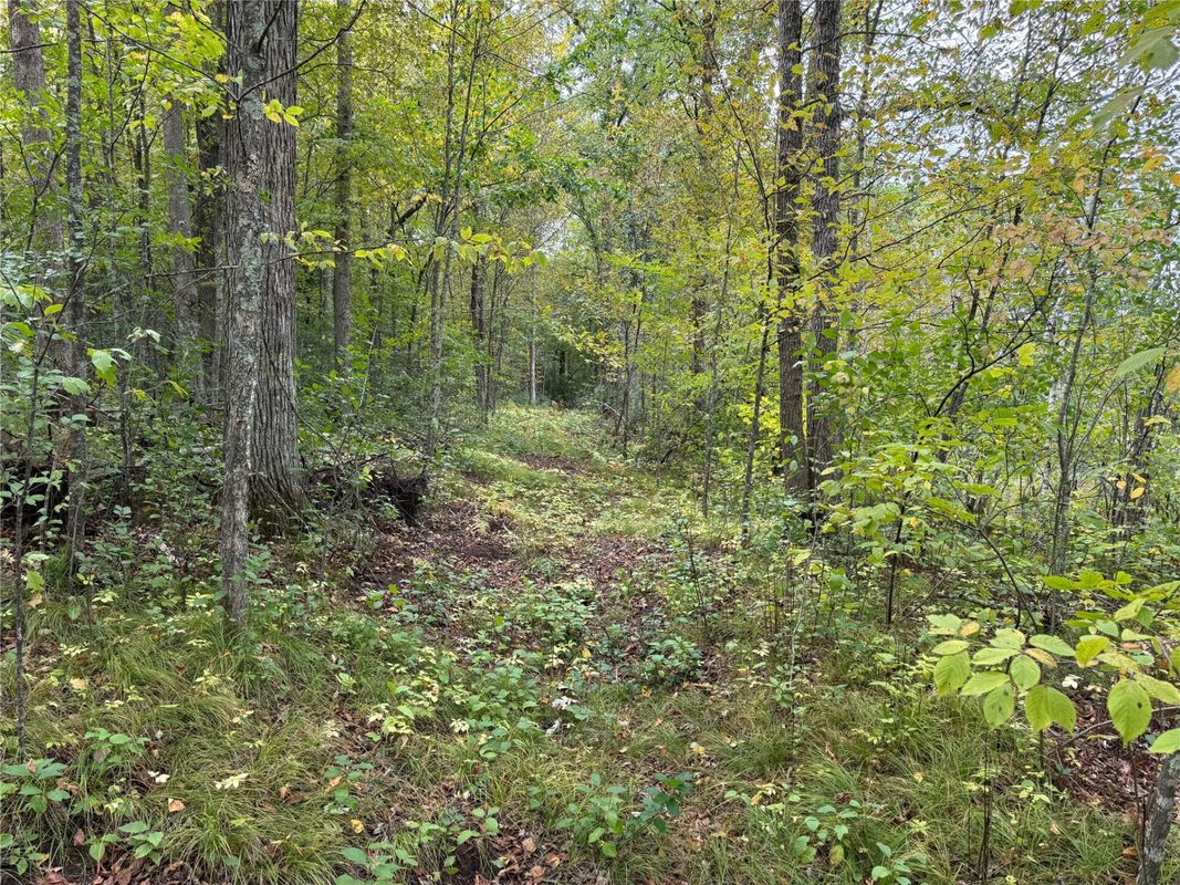 XXX 23 1/2 Street, Rice Lake WI 54868 - Land house for sale - MLS #1605312 - image29