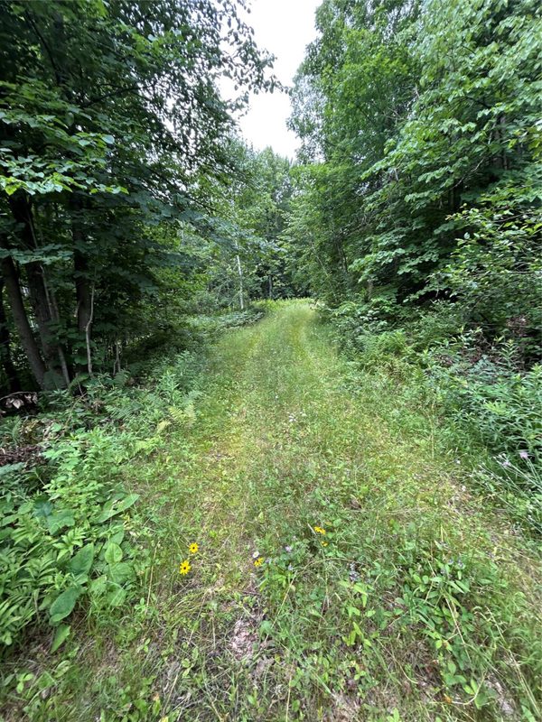On Strabel Road, Stone Lake WI 54876 - Land house for sale - MLS #1604177 - image12