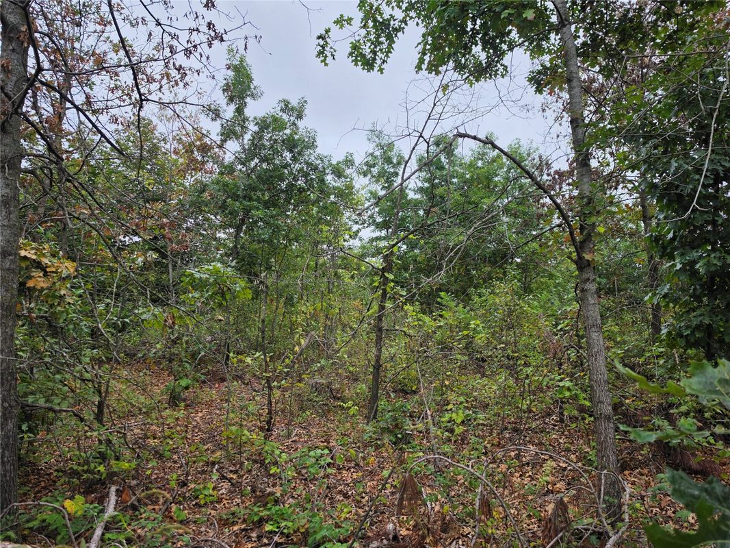 Lot 6 370th Ave Avenue, Elk Mound WI 54739 - Land house for sale - MLS #1605278 - image8