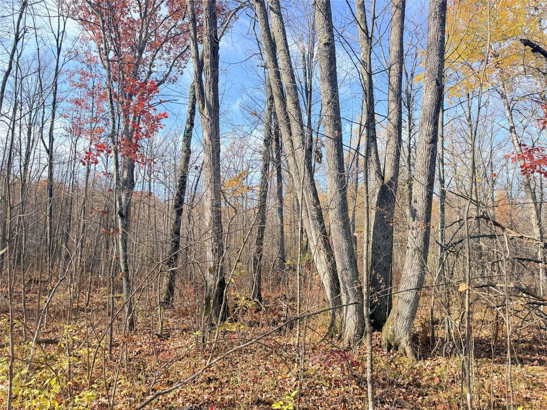 0 County Highway C, Rice Lake WI 54868 - Land house for sale - MLS #1605929 - image50