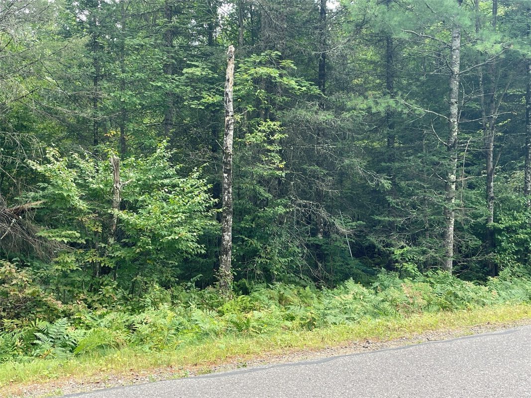 Lot 4 Hermosa Lane, Hayward, WI — photo 2