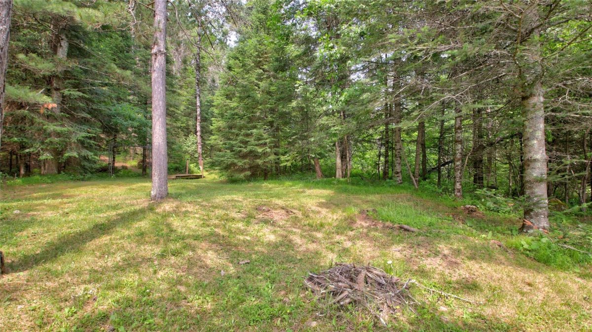 9146N Chippewa Pines Way, Winter WI 54896 - Residential house for sale - MLS #1604445 - image56
