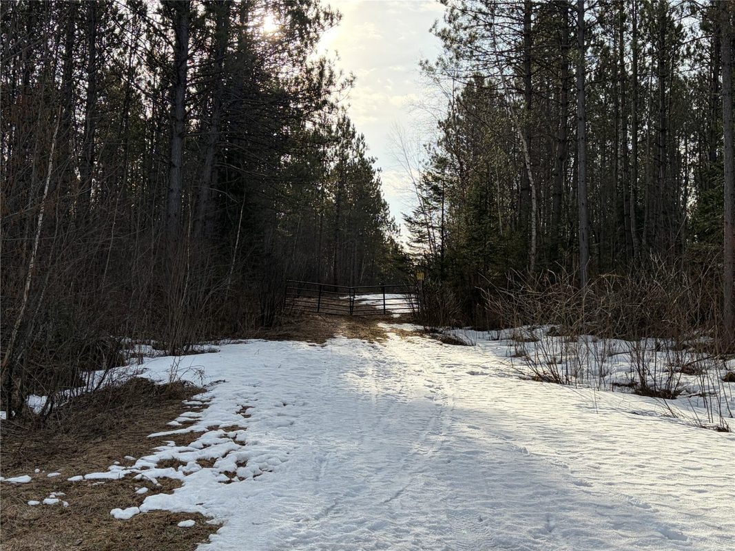 ON Barker Lake Road, Winter WI 54896 - Land house for sale - MLS #1599276 - image3