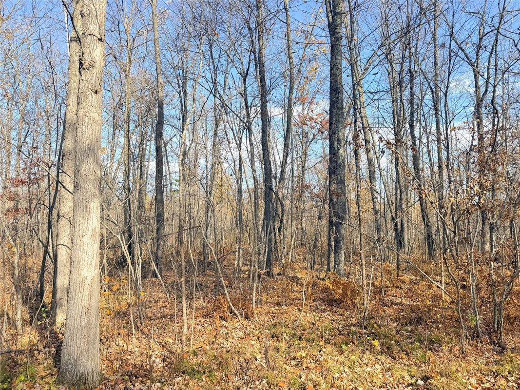 0 County Highway C, Rice Lake WI 54868 - Land house for sale - MLS #1605929 - image24