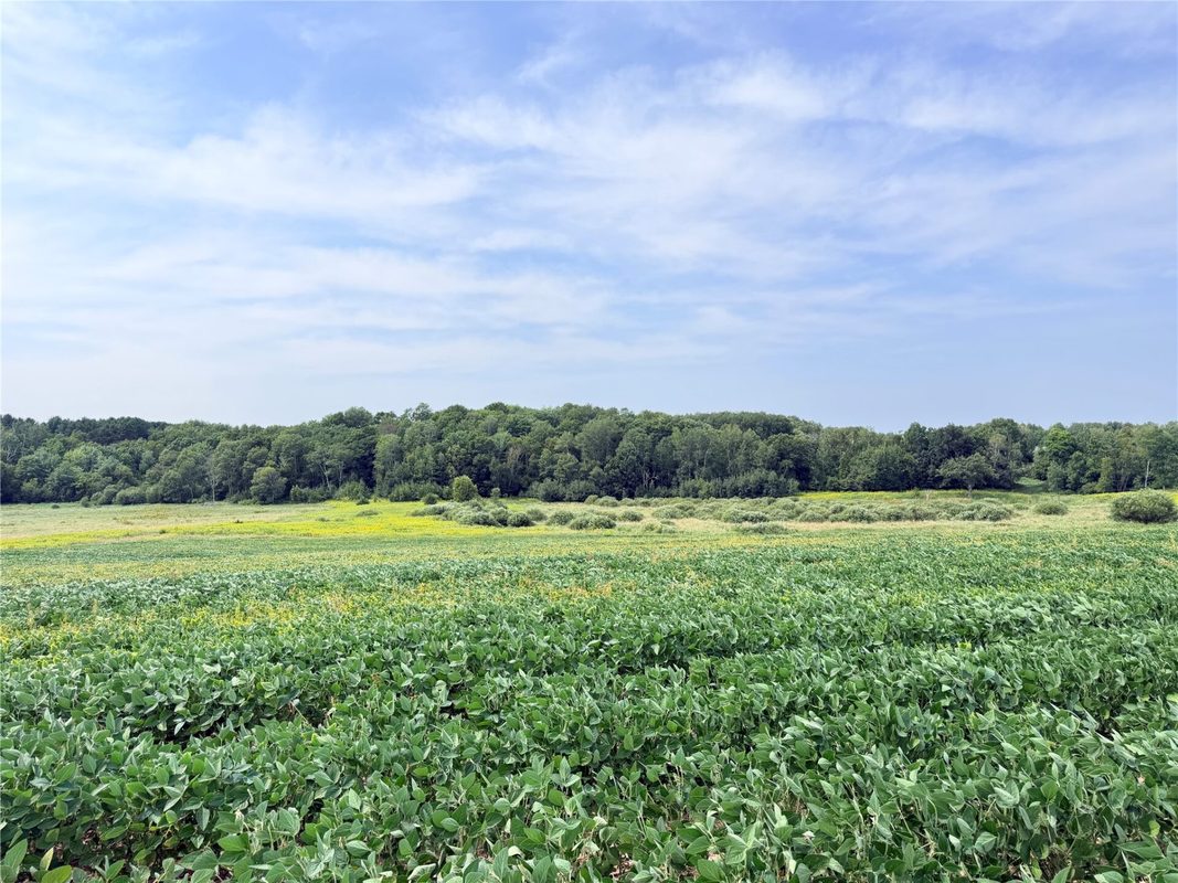10 Acres Lot 4 230th Street, St Croix Falls WI 54024 - Land house for sale - MLS #1606210 - image24