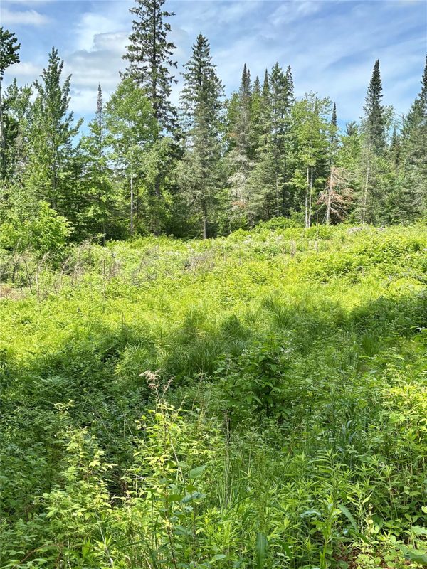 16550 Ridgerock Road, Hayward WI 54843 - Land house for sale - MLS #1591202 - image6