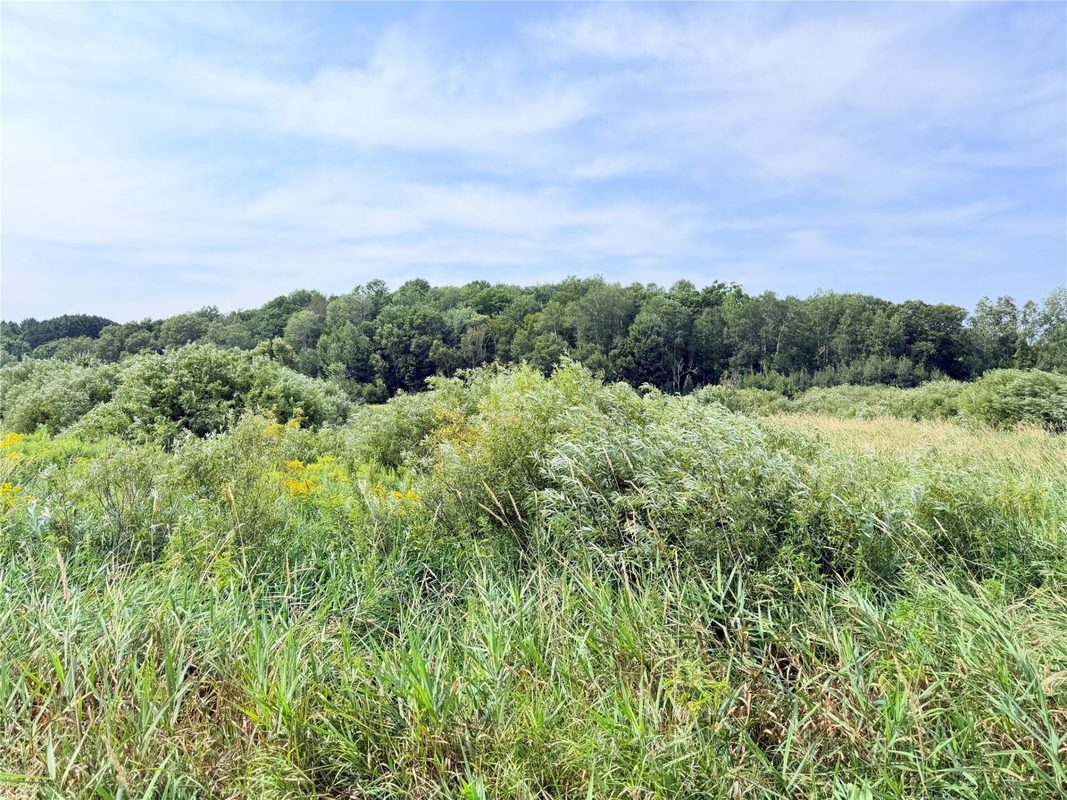 10 Acres Lot 4 230th Street, St Croix Falls WI 54024 - Land house for sale - MLS #1606210 - image22