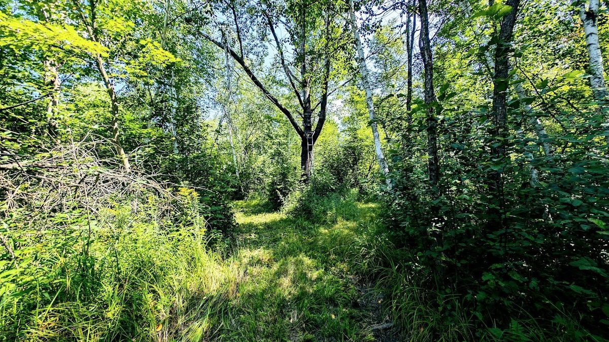 N2438 State Highway 27, Conrath WI 54731 - Residential house for sale - MLS #1603765 - image52