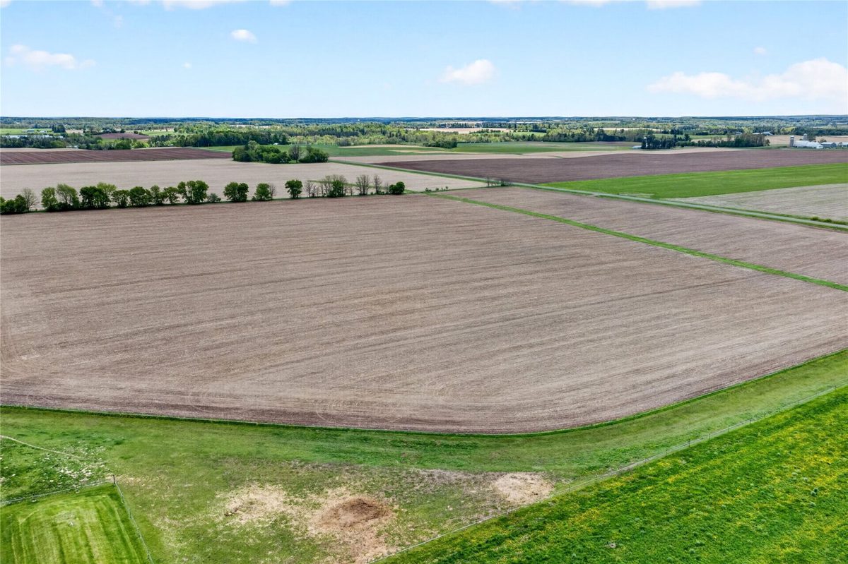 xxx 6th Street, Almena WI 54805 - Land house for sale - MLS #1601427 - image6