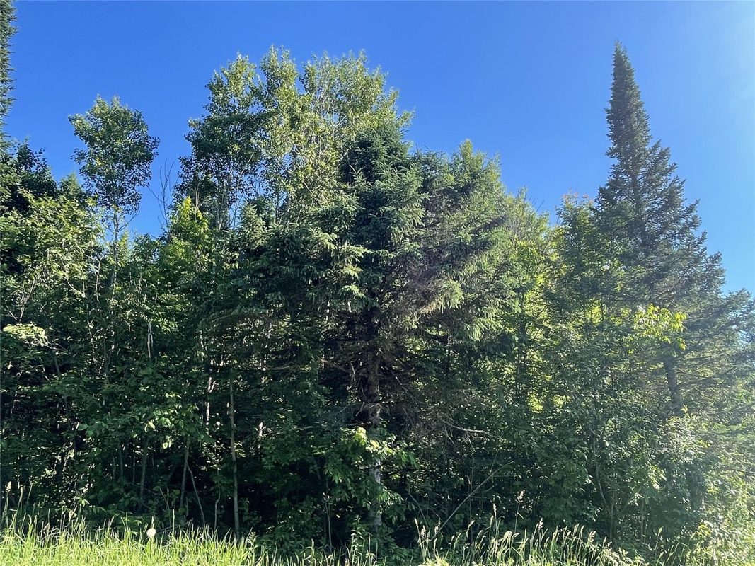 39+/- A on County Highway E, Iron Belt WI 54536 - Land house for sale - MLS #1602959 - image15