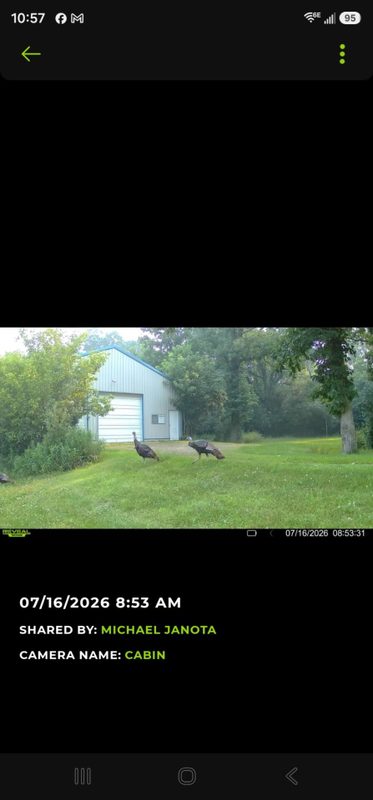 203 Dallas Street, Dallas WI 54733 - Residential house for sale - MLS #1600875 - image3