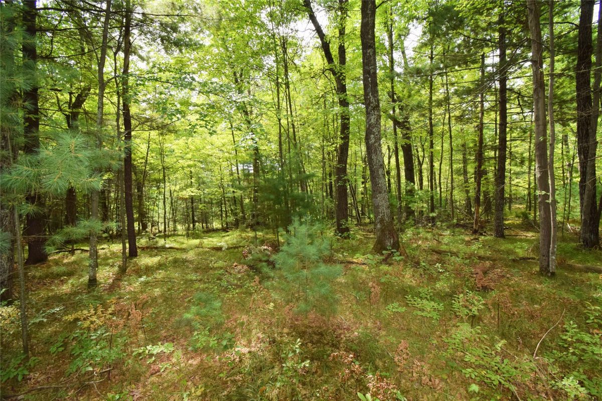 28206 Pardun Road, Danbury WI 54830 - Land house for sale - MLS #1604938 - image41