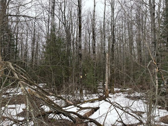 ON N Hofer Road Couderay WI 54828 — photo 1