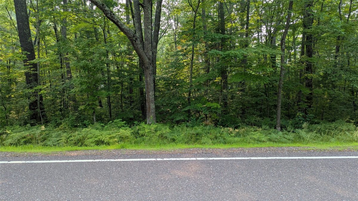 Lot 4 County Highway CC, Couderay WI 54828 - Land house for sale - MLS #1603366 - image7
